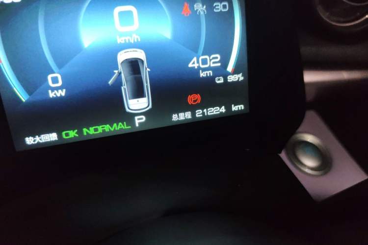 Used BYD Dolphin 2023 401km Knight Edition Odometer Close Up