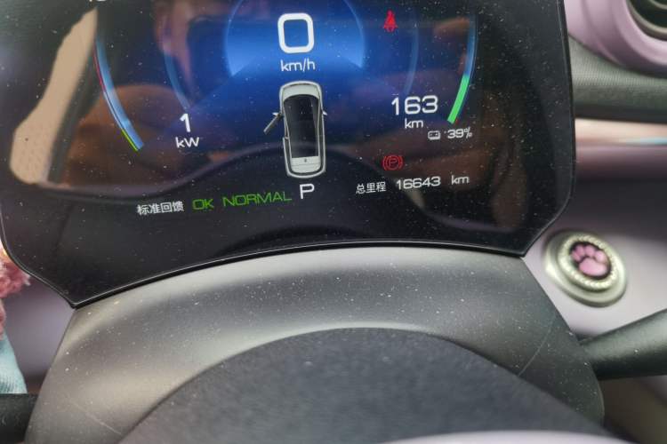 Used BYD Dolphin 2023 420 km Fashion Edition Odometer Close Up
