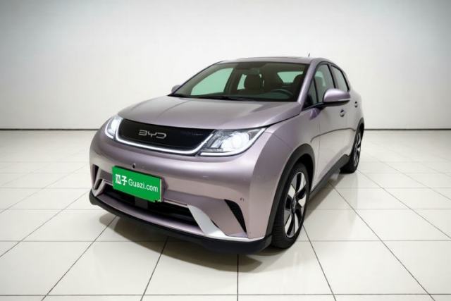Used BYD Dolphin 2023 401km Knight Edition