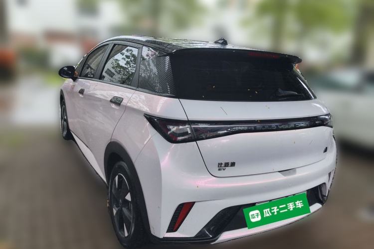 Used BYD Dolphin 2023 420 km Fashion Edition Rear Left 45 Deg
