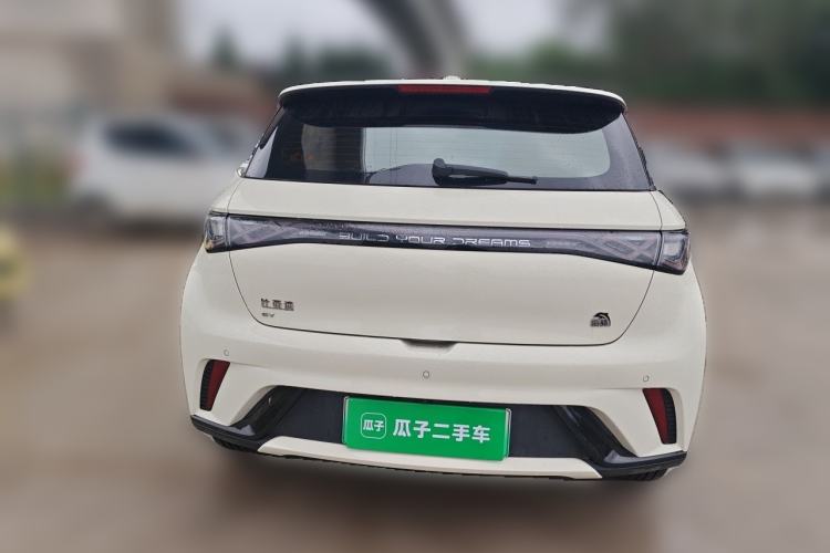 Used BYD Dolphin 2023 420 km Fashion Edition Rear