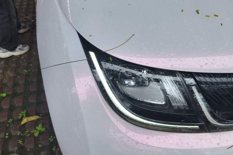 Used BYD Dolphin 2023 420 km Fashion Edition Right Front Headlight