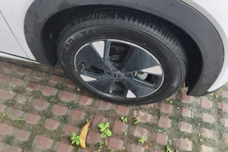 Used BYD Dolphin 2023 420 km Fashion Edition Right Front Wheel Hub