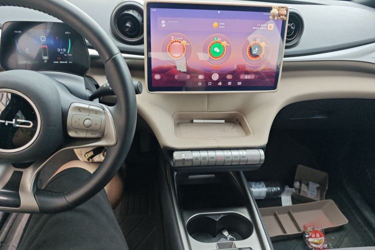 Used BYD Dolphin 2023 420 km Fashion Edition Audio And AC Panel