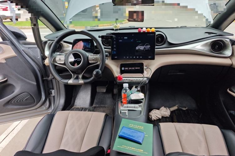 Used BYD Dolphin 2023 420 km Free Version Center Console