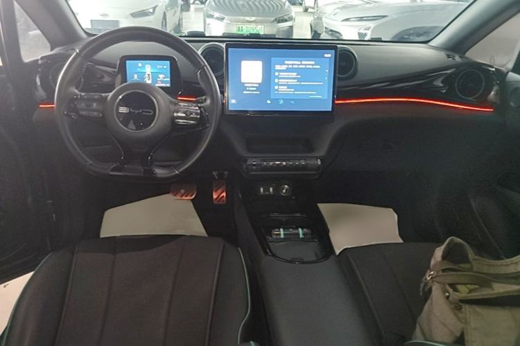 Used BYD Dolphin 2023 401km Knight Edition Center Console