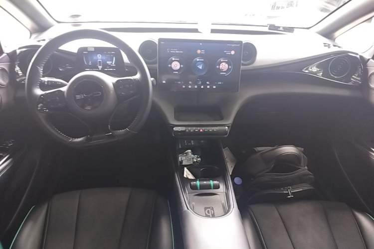 Used BYD Dolphin 2023 401km Knight Edition Center Console