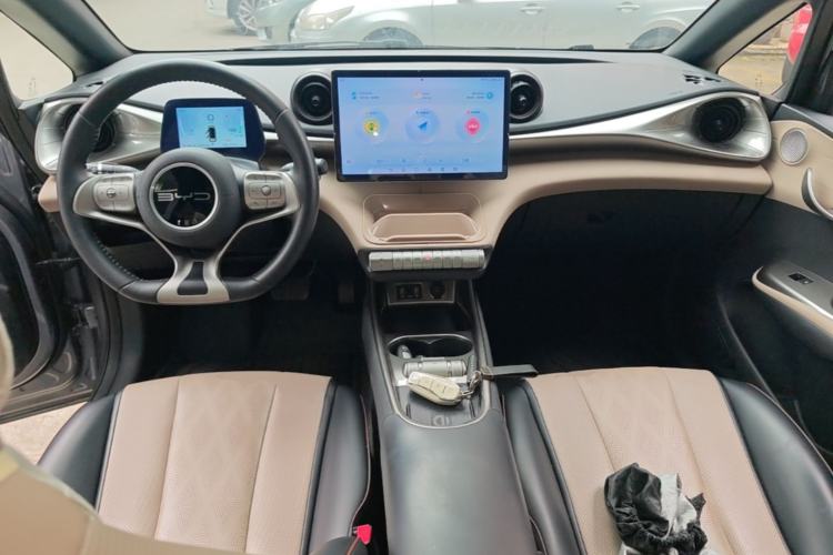 Used BYD Dolphin 2023 420 km Fashion Edition Center Console