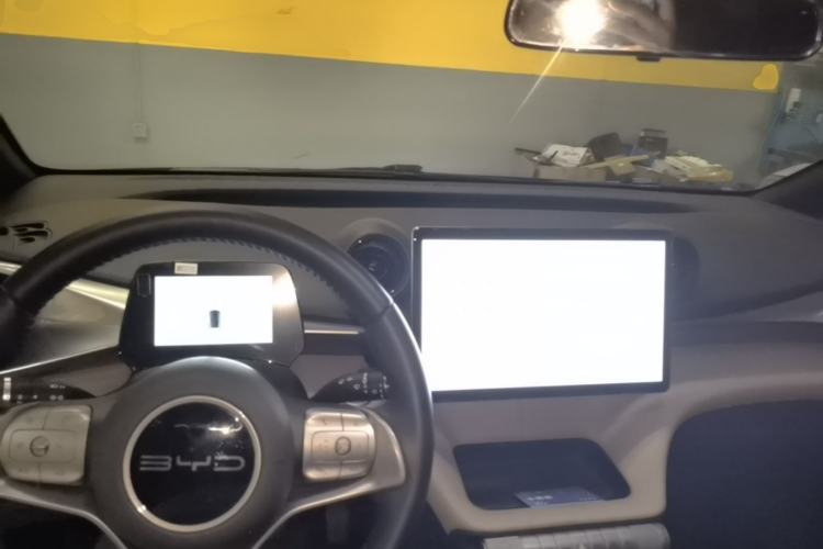 Used BYD Dolphin 2023 420 km Free Version Center Console