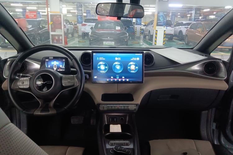 Used BYD Dolphin 2023 420 km Free Version Center Console