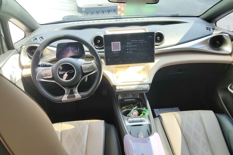 Used BYD Dolphin 2023 420 km Fashion Edition Center Console