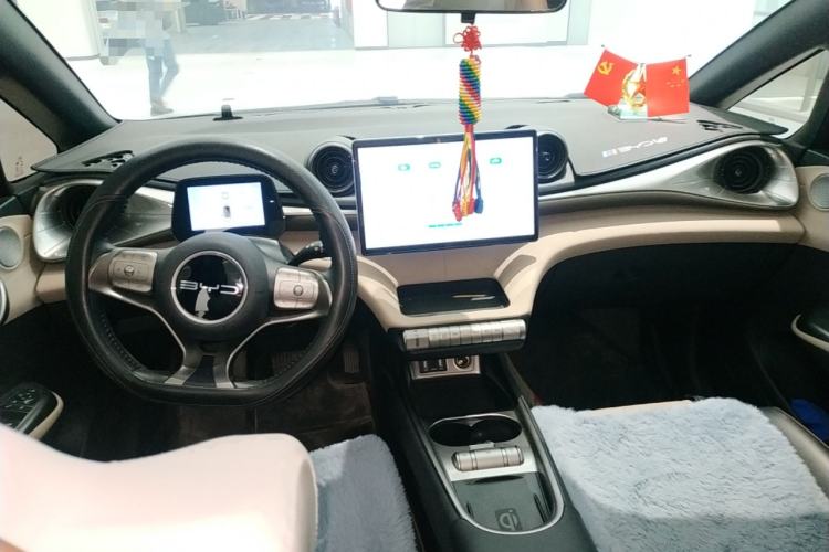Used BYD Dolphin 2023 420 km Fashion Edition Center Console
