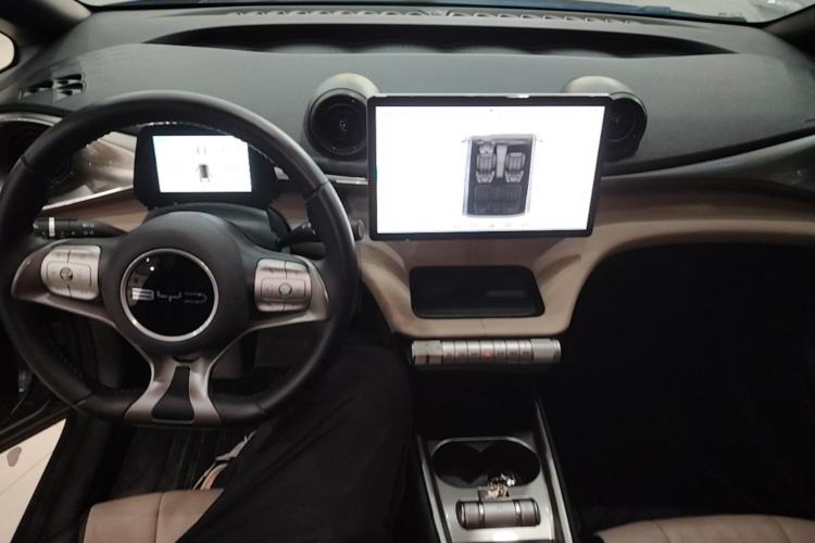 Used BYD Dolphin 2023 420 km Fashion Edition Center Console