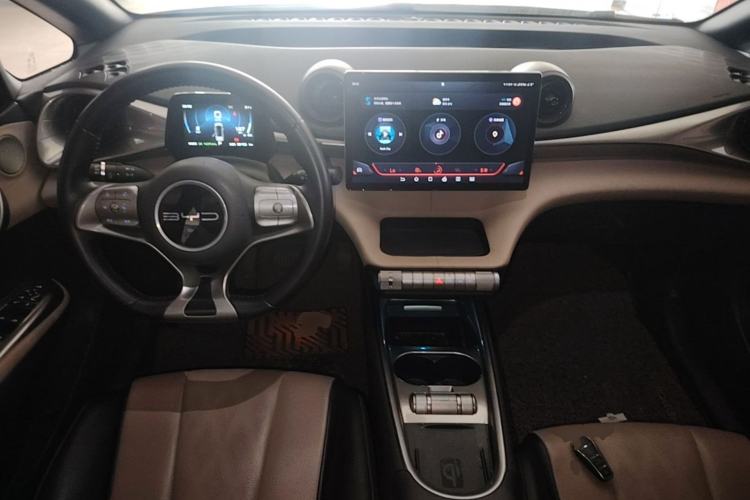 Used BYD Dolphin 2023 420 km Fashion Edition Center Console