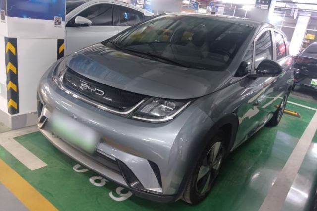 Used BYD Dolphin 2023 420 km Free Version