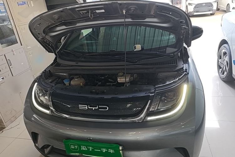 Used BYD Dolphin 2023 420 km Free Version Engine Bay