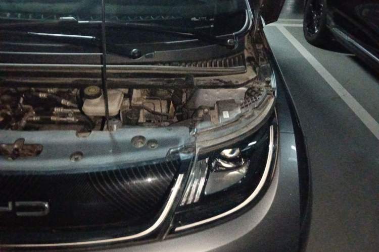 Used BYD Dolphin 2023 420 km Free Version Engine Bay Left
