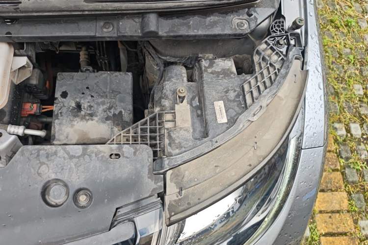 Used BYD Dolphin 2023 420 km Fashion Edition Engine Bay Left