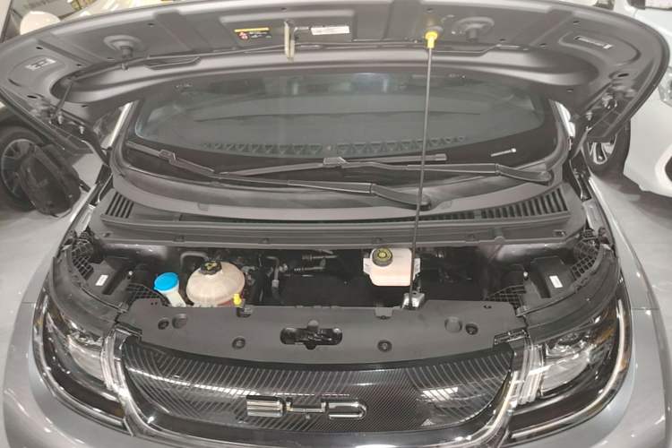 Used BYD Dolphin 2023 420 km Free Version Engine Bay