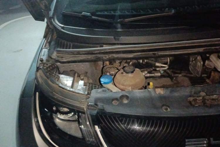 Used BYD Dolphin 2023 420 km Free Version Engine Bay Right