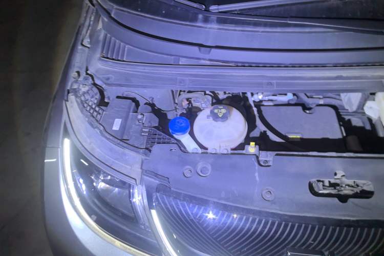 Used BYD Dolphin 2023 420 km Fashion Edition Engine Bay Right