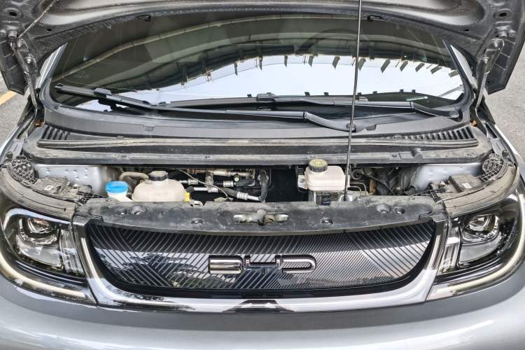 Used BYD Dolphin 2023 420 km Free Version Engine Bay
