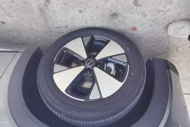 Used BYD Dolphin 2023 420 km Free Version Exterior 4