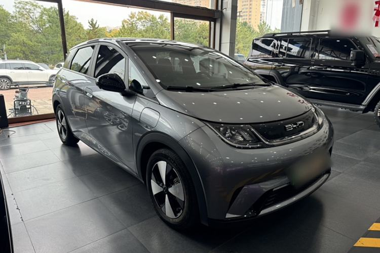Used BYD Dolphin 2023 420 km Fashion Edition Exterior 4