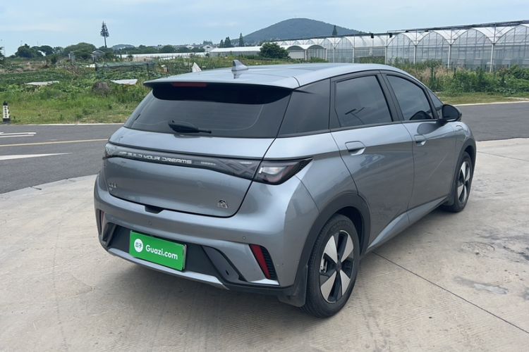 Used BYD Dolphin 2023 420 km Fashion Edition Exterior 6
