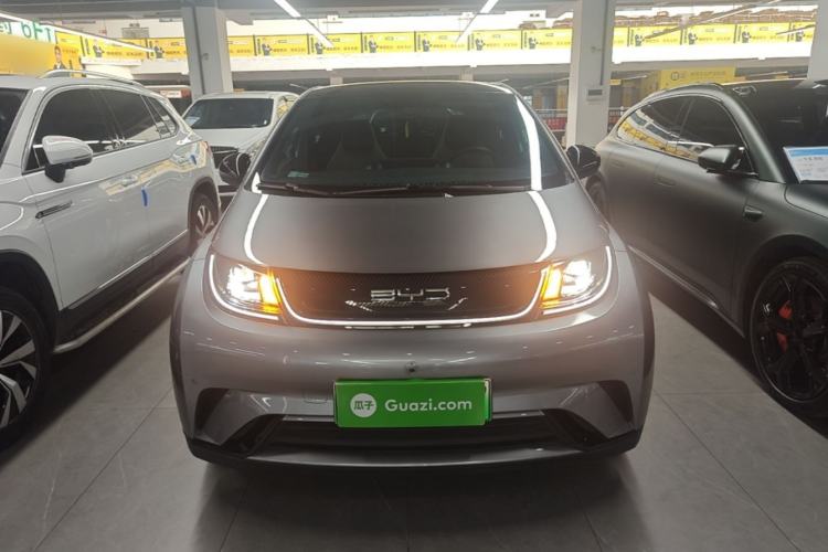 Used BYD Dolphin 2023 420 km Fashion Edition Front