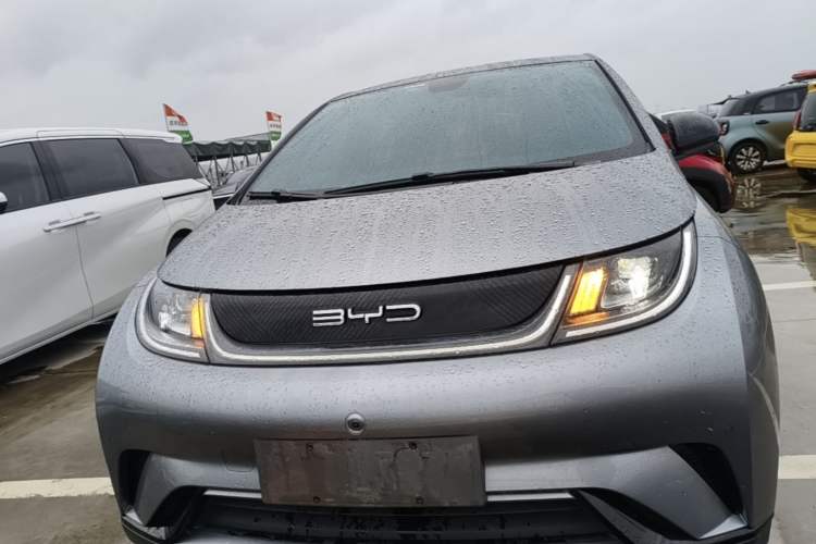 Used BYD Dolphin 2023 420 km Fashion Edition Front