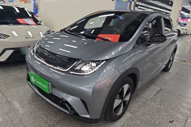 Used BYD Dolphin 2023 420 km Free Version