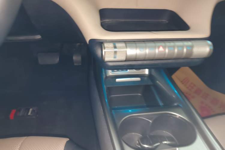 Used BYD Dolphin 2023 420 km Free Version Gear Lever