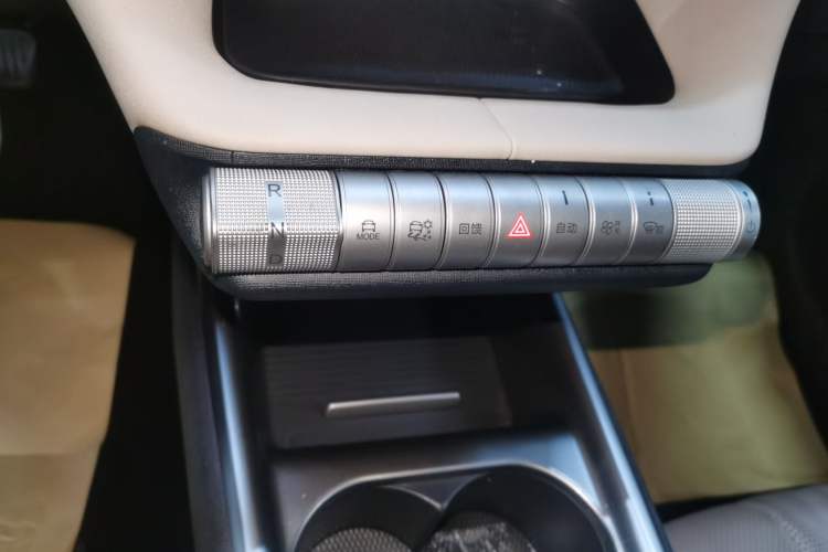 Used BYD Dolphin 2023 420 km Free Version Gear Lever