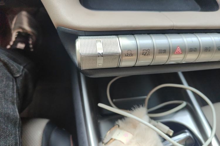 Used BYD Dolphin 2023 420 km Fashion Edition Gear Lever