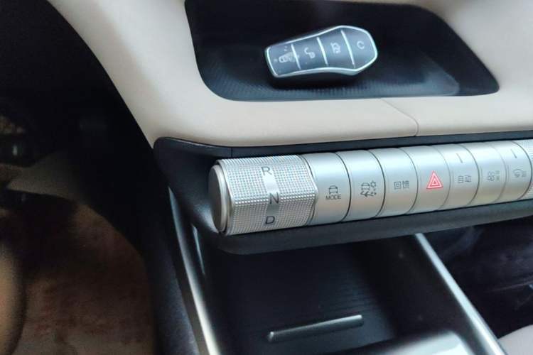 Used BYD Dolphin 2023 420 km Fashion Edition Gear Lever