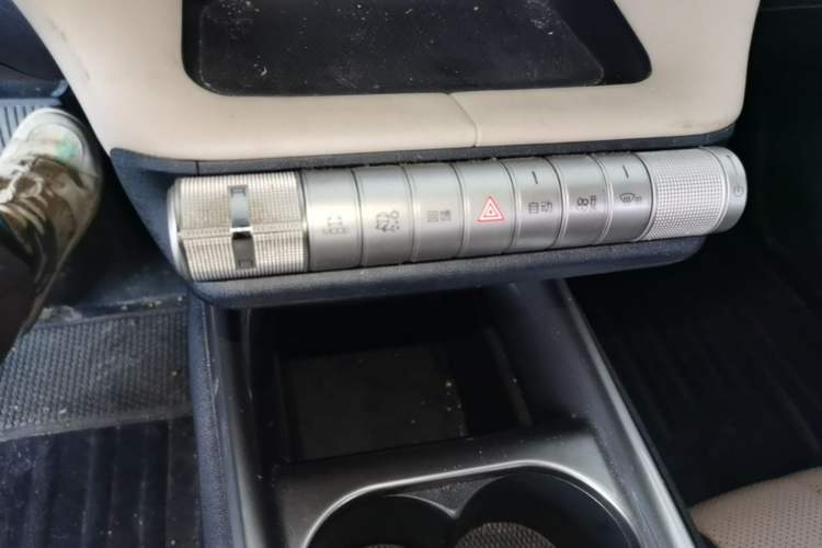Used BYD Dolphin 2023 420 km Fashion Edition Gear Lever