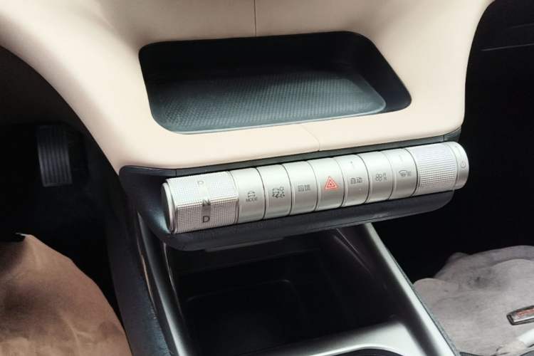 Used BYD Dolphin 2023 420 km Fashion Edition Gear Lever