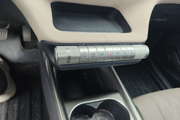 Used BYD Dolphin 2023 420 km Fashion Edition Gear Lever