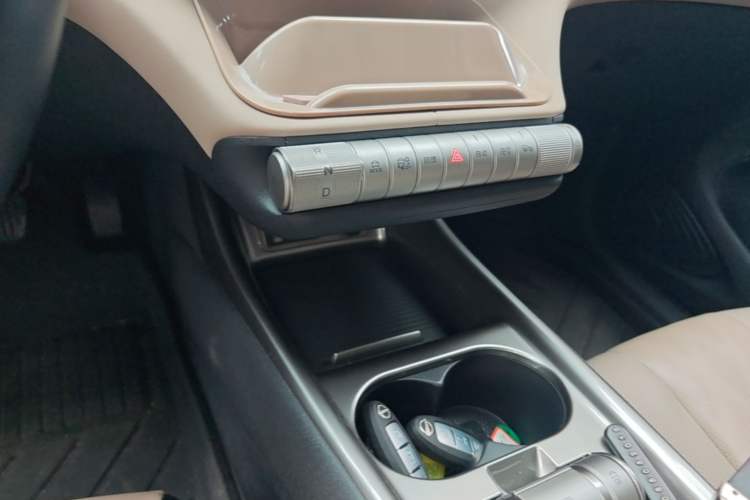 Used BYD Dolphin 2023 420 km Fashion Edition Gear Lever