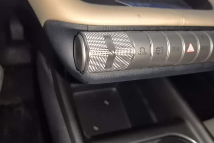 Used BYD Dolphin 2023 420 km Free Version Gear Lever