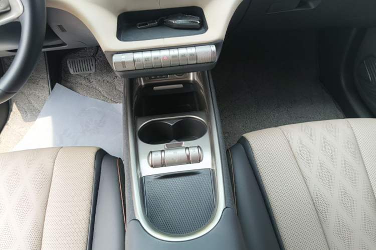 Used BYD Dolphin 2023 420 km Free Version Gear Lever