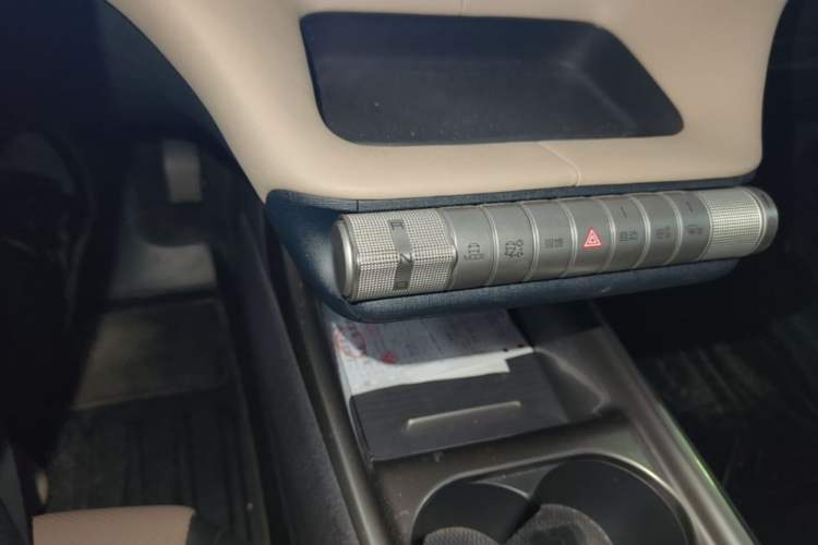 Used BYD Dolphin 2023 420 km Free Version Gear Lever