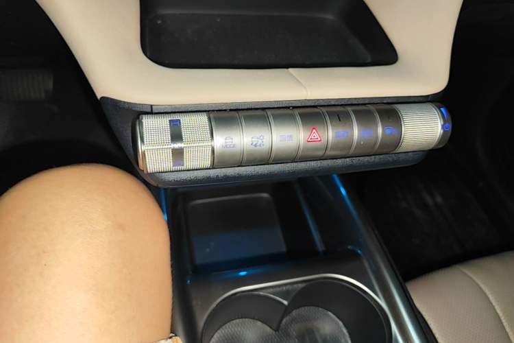 Used BYD Dolphin 2023 420 km Fashion Edition Gear Lever