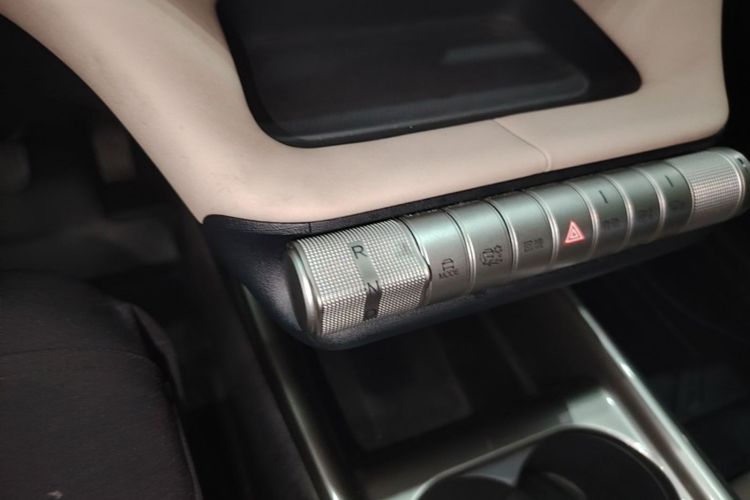 Used BYD Dolphin 2023 420 km Fashion Edition Gear Lever