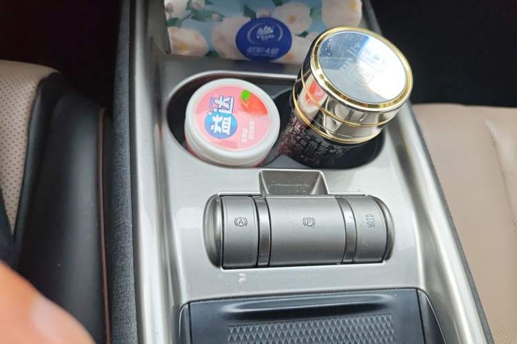 Used BYD Dolphin 2023 420 km Fashion Edition Gear Lever