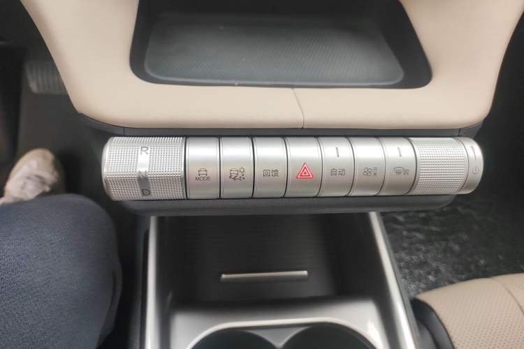Used BYD Dolphin 2023 420 km Fashion Edition Gear Lever