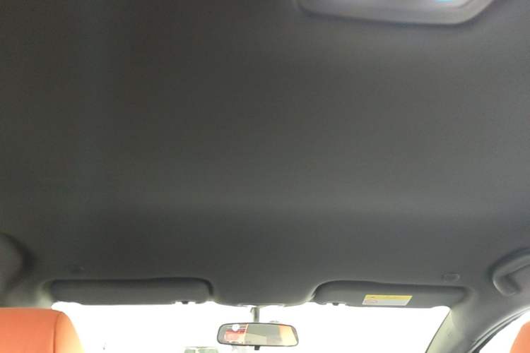 Used BYD Dolphin 2023 420 km Free Version Headliner