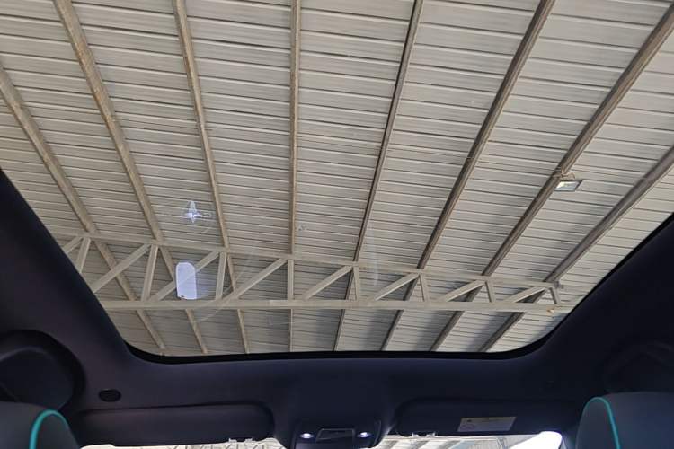 Used BYD Dolphin 2023 401km Knight Edition Headliner