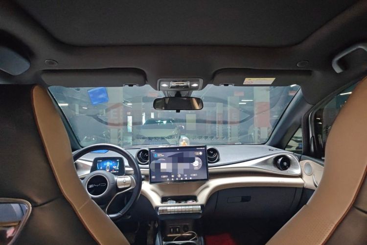 Used BYD Dolphin 2023 420 km Fashion Edition Headliner